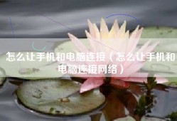 怎么让手机和电脑连接（怎么让手机和电脑连接网络）