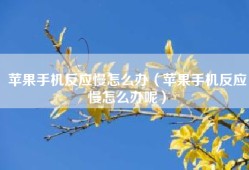 苹果手机反应慢怎么办（苹果手机反应慢怎么办呢）