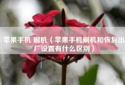 苹果手机 刷机（苹果手机刷机和恢复出厂设置有什么区别）