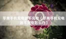 苹果手机充电器不充电（苹果手机充电器不充电怎么办）