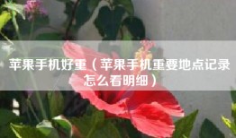 苹果手机好重（苹果手机重要地点记录怎么看明细）