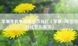 苹果手机电池显示百分比（苹果13电池百分比怎么显示）