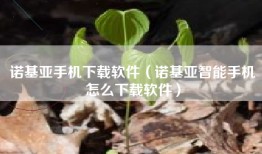 诺基亚手机下载软件（诺基亚智能手机怎么下载软件）