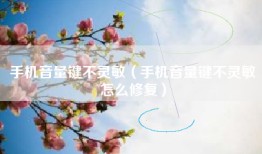 手机音量键不灵敏（手机音量键不灵敏怎么修复）