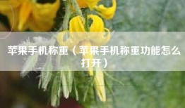 苹果手机称重（苹果手机称重功能怎么打开）