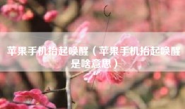 苹果手机抬起唤醒（苹果手机抬起唤醒是啥意思）