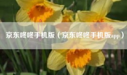 京东咚咚手机版（京东咚咚手机版app）