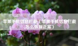 苹果手机信息拦截（苹果手机信息拦截怎么恢复正常）