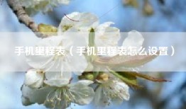 手机里程表（手机里程表怎么设置）