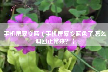 手机屏幕变蓝（手机屏幕变蓝色了,怎么调回正常来？）