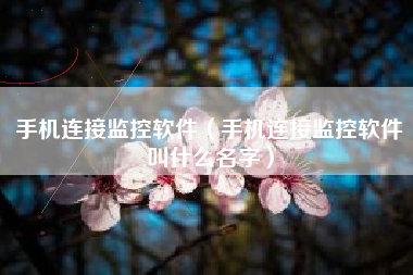 手机连接监控软件（手机连接监控软件叫什么名字）