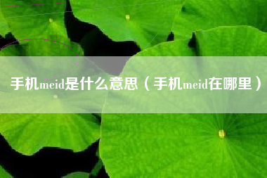 手机meid是什么意思（手机meid在哪里）