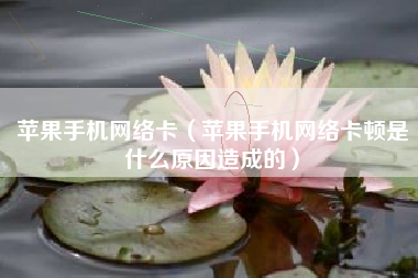 苹果手机网络卡（苹果手机网络卡顿是什么原因造成的）