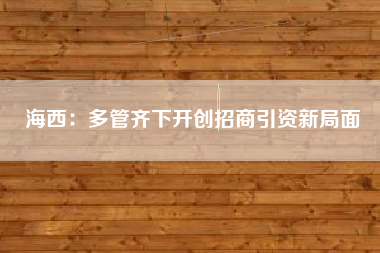 海西：多管齐下开创招商引资新局面